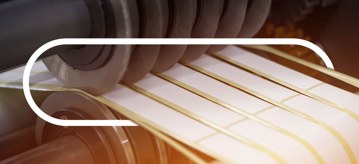 Everything You Need to Know About Stainless Steel Knives